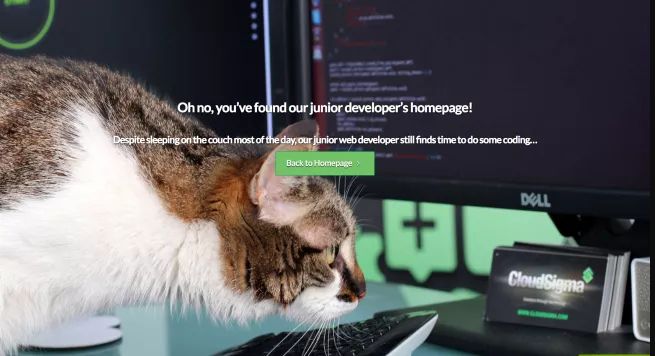 an example for a 404 broken page