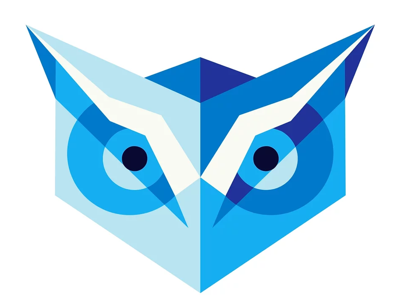Owl track Logo